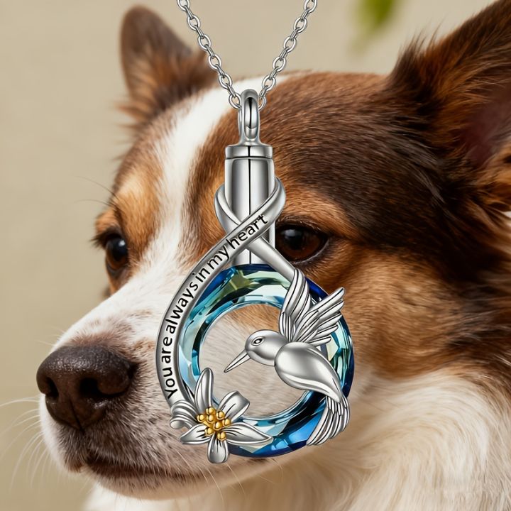 1PCS%20Hummingbird%20Urn%20Necklace%20for%20Urn%20Ashes%20for%20Women%20Cute%20Animal%20Cremation%20Jewelry%20Remembrance%20%20for%20Christmas%20-%20Image%203