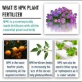 GROWMORE NPK+Micronutrients NPK.20.20.20 plant Food For flower vegetables trees shrubs House plants. 
