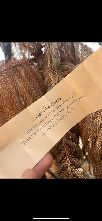 InshaAllah%20Jar%20%7C%2050%20+%20Quranic%20Duas%20&%20Ayahs%20%7C%20Islamic%20Motivational%20Jar%20%7C%20Daily%20Spiritual%20Boost%20Gift%20%7C%20Read%20Me%20When%20You%20Are%20Feeling%E2%80%A6%20%7C%20Islam%20Jar%20for%20Him%20&%20Her%20-%20Image%205