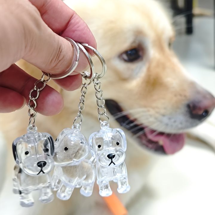 Dog%20Hair%20Storage%20Box%20Puppy%20Hair%20Memorial%20Keepsake%20Capsule%20Pet's%20Dog/Cat%20Fur%20Container%20Transparent%20Capsule%20Keychain%20Souvenirs%20-%20Image%204
