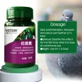 Pigeon Chlamydia Chronic Respiratory Fever Bird Parrot Pigeon Medicine 60 Tablets. 