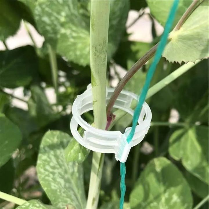 20%20Pieces%20Of%20Vine%20Staking%20Support%20Clip%20For%20Vegetables%20Support%20And%20Other%20Cliping%20Use%20-%20Image%203