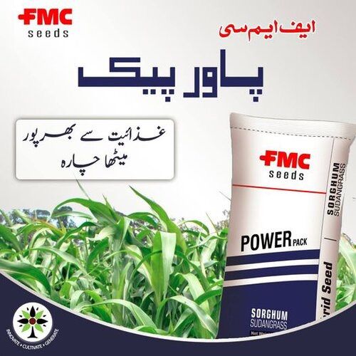 Power Pack Forage Sorghum Hybrid Seed Fmc 10kg Multicut Jawar Fodder Seed American USA