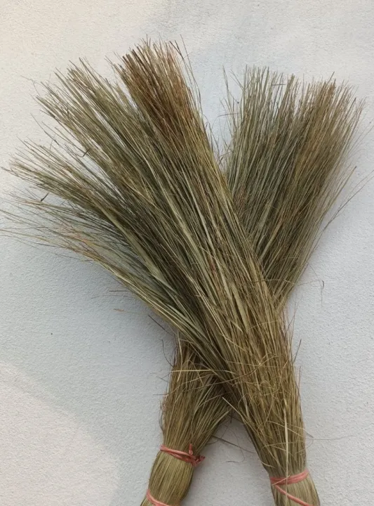 Love%20Bird%20Nesting%20Materials%20-%20Image%206