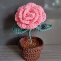 crochet flower pot. 