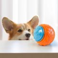 Dog Squeaky Balls Toy Dog Soft TPR Chew Toy Dog Pet Teeth Cleaning Bite Resistance Puppy Training Sound Toy Pet Supplies. 