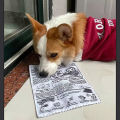 1pc Tearproof Pet Dog Sound Toy Simulated Squeaking Newspaper Playingcard K Q J Teeth Resistant Corgi Teddy Puppy Interactive. 