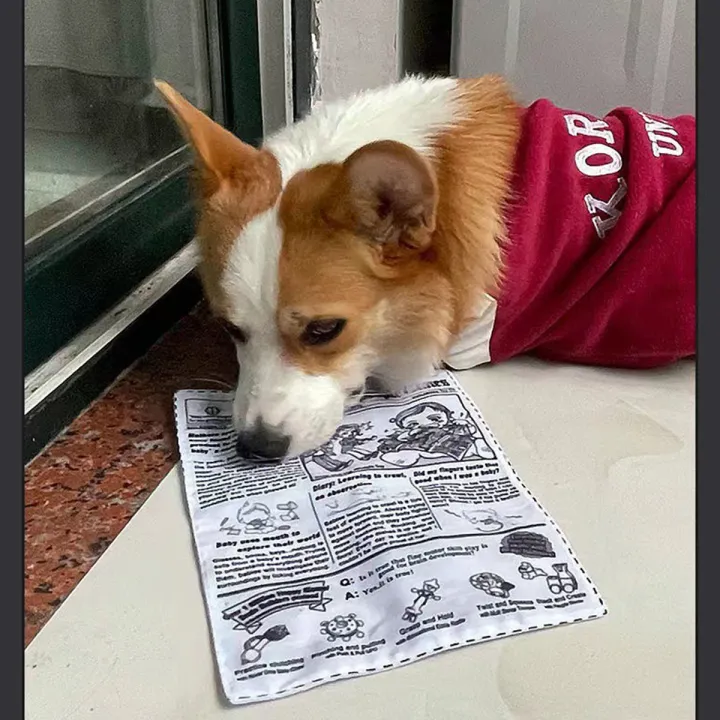1pc%20Tearproof%20Pet%20Dog%20Sound%20Toy%20Simulated%20Squeaking%20Newspaper%20Playingcard%20K%20Q%20J%20Teeth%20Resistant%20Corgi%20Teddy%20Puppy%20Interactive%20-%20Image%204