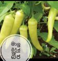 Capccicum seeds 1 g pack your home garden. Malu miris/ මාලු මිරිස් බීජ. 