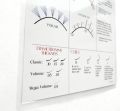 Bundle Beginner and Wispy Eye Shape Lash Map Charts School Practice Training for Fake Eyelashes Wholesale.