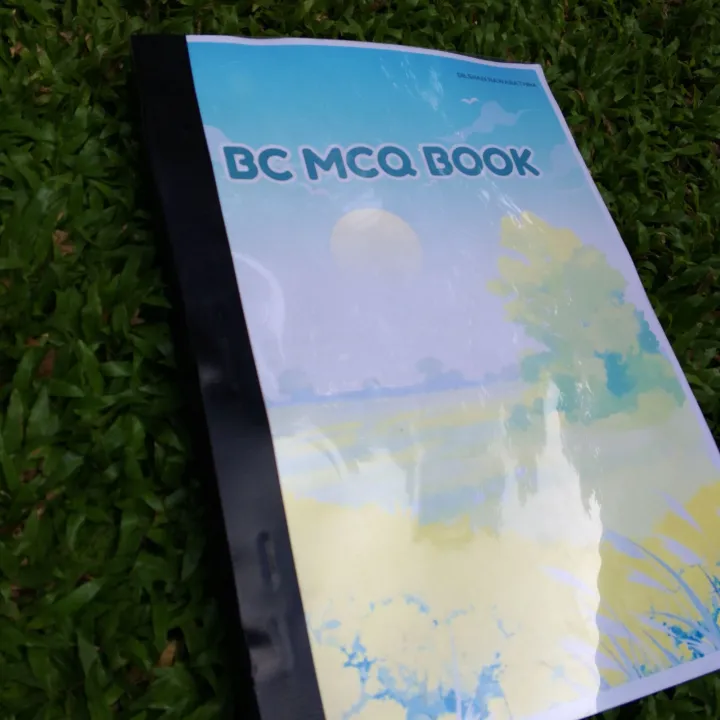 Buddhist Civilization ( BC)