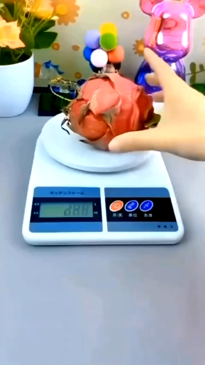 10kg Electronic Digital Kitchen Scale - Digital Weight Machine | Food Weighing Scale | Cooking & Baking Scale | Portable Digital Mini Scale | Precision Weight Machine for Kitchen | Jewelry, Vegetable, Fruit & Diet Scale | LCD Display | Tare Function