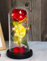 Rose flower in glass tube gift anversiry gift. 