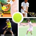 5/10PCS High Elasticity Tennis Professional Tennis Training Game Ball Outdoor Dogs Bite and Chomp 63mm Tennis Ball. 