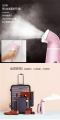 Huaguang handheld garment steamer QH0510B. 