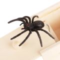 1PC New Trick Spider Funny Scare Box Wooden Hidden Box Prank Trick Horror Spiders Fun Game Halloween Party Decoration s.