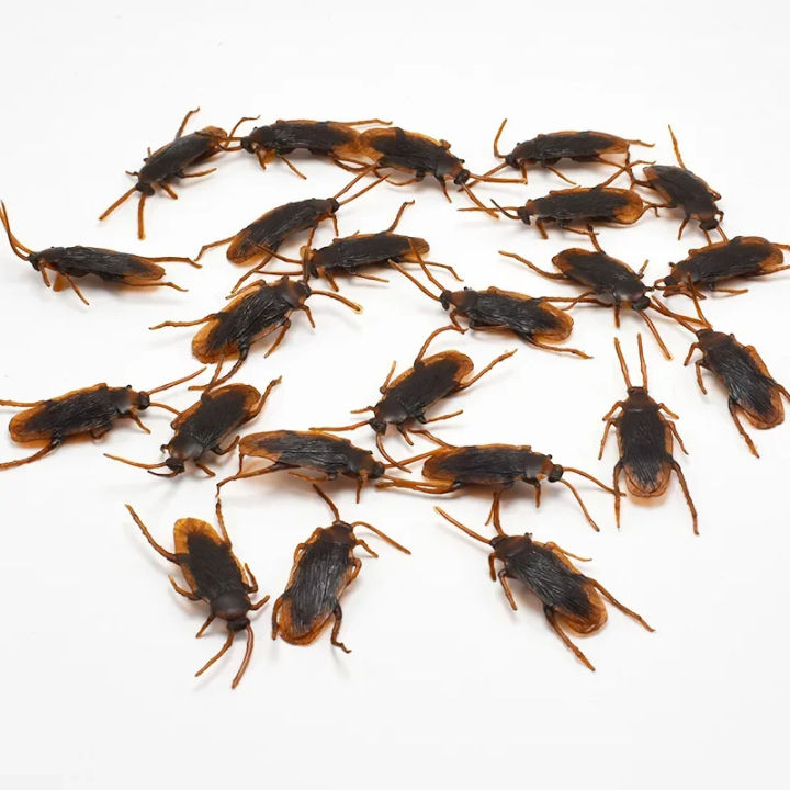 5-50Pcs%20Special%20Lifelike%20Model%20Simulation%20Fake%20%20Cock%20Cockroach%20Roach%20Bug%20Roaches%20Toy%20Prank%20Funny%20Trick%20Joke%20Simulation%20Toy%20-%20Image%205