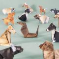 50pcs Creative DIY Paper Cats Handmade DIY Paper Cat Dog Dinosaur Folding Animal Folding Paper Set Cute Origami Craft Kit. 