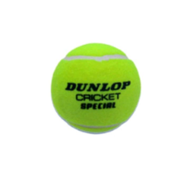 Cricket ball Tennis Ball Dunlop cricket ball Ball
