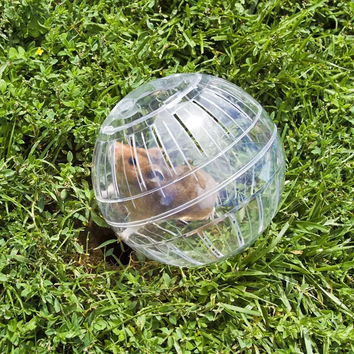 Outdoor%20Sport%20Ball%20Grounder%20Rat%20Small%20Pet%20Rodent%20Mice%20Ball%20Balls%20Rat%2010cm%20Exercise%20Hamster%20Gerbil%20Play%20Toys%20Jogging%20Toys%20-%20Image%206