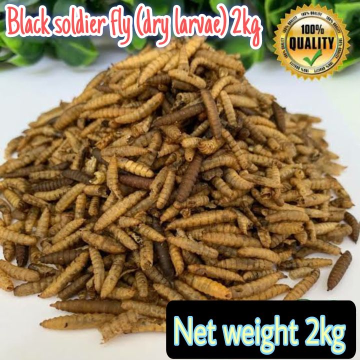 Black soldier fly (dried larvae) 2kg