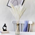 15 Pcs Natural Dried Flowers Bohemian Style 45cm Long Dried Flowers Bohemia Flower Bouquet Home Decor for Living Room. 
