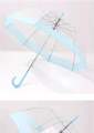 Japanese Transparent Umbrella. 