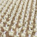 Personalized Mini Bubble Candle - Wedding Favours - Baby Shower - Wholesale Events - Bubble Candles - Custom Events. 