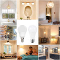 10pcs LED Bulb Lamps AC220V 210V 230V E27 E14 3W 6W 9W 12W 15W 18W 20W Lampada Bombilla Living Room Home Luminair AP 220V. 