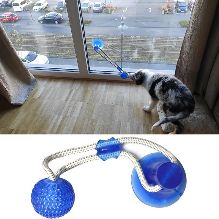 Dog%20Toys%20Pet%20Puppy%20Interactive%20Suction%20Cup%20Push%20TPR%20Ball%20Toys%20Molar%20Bite%20Toy%20Elastic%20Ropes%20Dog%20Tooth%20Cleaning%20Chewing%20Supplies%20-%20Image%202