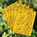 10pcs Strong Fruit Fly Traps Bugs Yellow Sticky Board Pest Control Insect Killer Two-sided Glue Paper Trap for Kill Pests. 