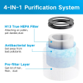 HEPA Replacement Filter, Compatible Air Purifier DH-JH01, Intelabe EPI080, and Elechomes EP1081 Air Purifier, 2Pack. 