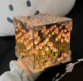 2024 Creative Diy Tulip Flower Sea Cube Three-Dimensional Small Night Lamp Material Package for Girlfriend Couple Girlfriends. 
