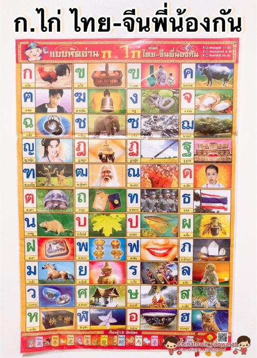 Thai alphabet poster Thai chicken Thai brothers (orange)
