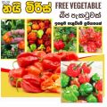 Ho miris sri lankan 50 seeds pack with free vegetable seeds pack. 