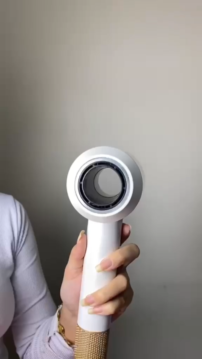 Professional Leafless Single Hair Dryer