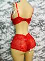 Red Colour Soft Comfortable Premium Net Pushup Foam Bra and Panty Set for Sexy Women Couple.
