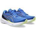 Asics Gel Kayano 30 running shoes for men. 