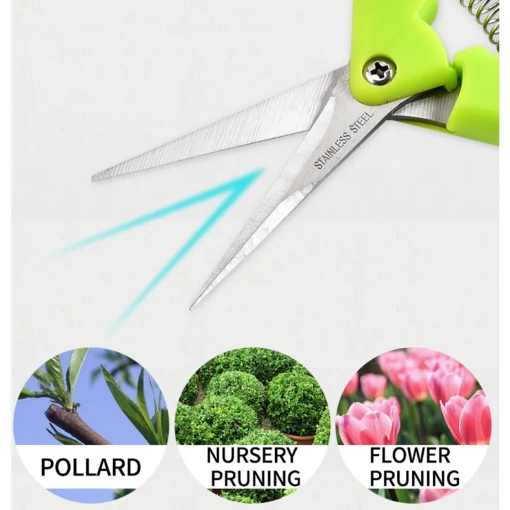 Household%20Potted%20Trim%20Weed%20Branches%20Small%20Scissors%20Gardening%20Tools%20Garden%20Pruning%20Shears%20Fruit%20Picking%20Scissors%20-%20Image%202