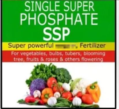 Single%20Super%20Phosphate%C2%A0%20Fertilizer%C2%A0%20ssp%201000%20gm%20Repack%20Indian%20-%20Image%204