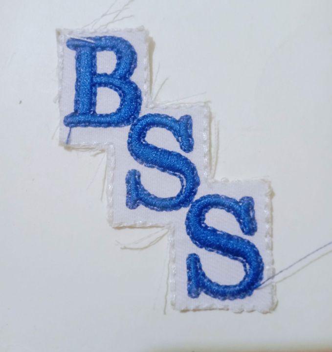 beacon%20house%20school%20uniform%20monogram%20logo%20badge%20BSS%20-%20Image%203