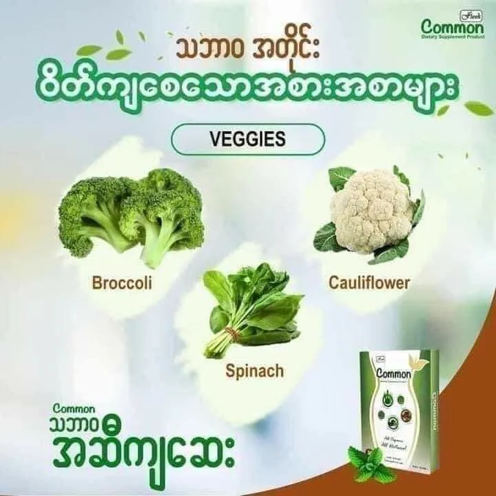 Common%20%E1%80%A1%E1%80%86%E1%80%AE%E1%80%80%E1%80%BB%E1%80%95%E1%80%AD%E1%80%94%E1%80%BA%E1%80%86%E1%80%B1%E1%80%B8%20-%20Image%202