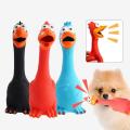 New Squeak Dog Toy Chew Bone Squeaky Ball Chicken Sound Dog Toys Tooth Grinding Training Pet Toy Supplies  Dog Accessories. 