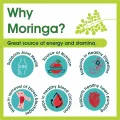 Careplus Premium Moringa Capsule 160 Pack For Healthy Life. 