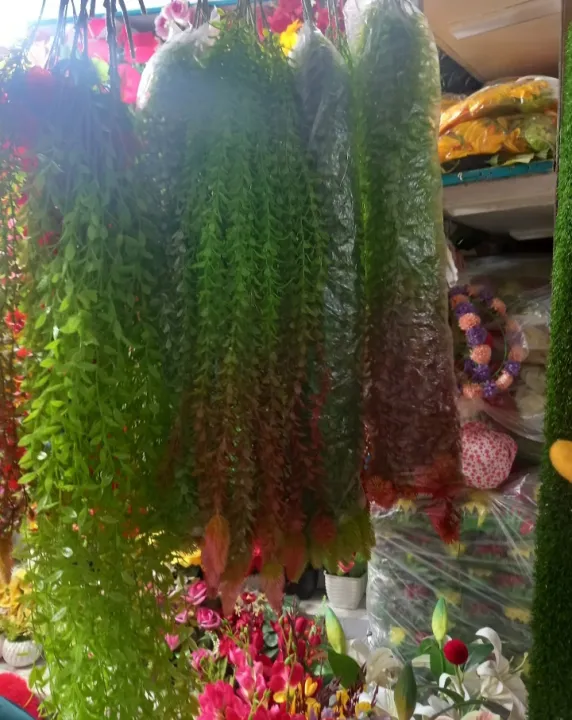 Artificial%20Lota%20or%20creeper%201%20pieces%20green%20red%20mix%20colour%20with%20hanger%20free%20unique%20model%20for%20room%20and%20wall%20decorations.%20-%20Image%203