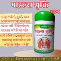 Prachin Piles Mukti Tea Powder 150gm. 