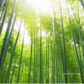 100PCS 20/30CM Disposable Bamboo Skewers Wooden Grill Grilling Bbq Tools Outdoor Cooking BBQ Sticks Barbecue Tools Fruit Sticks. 