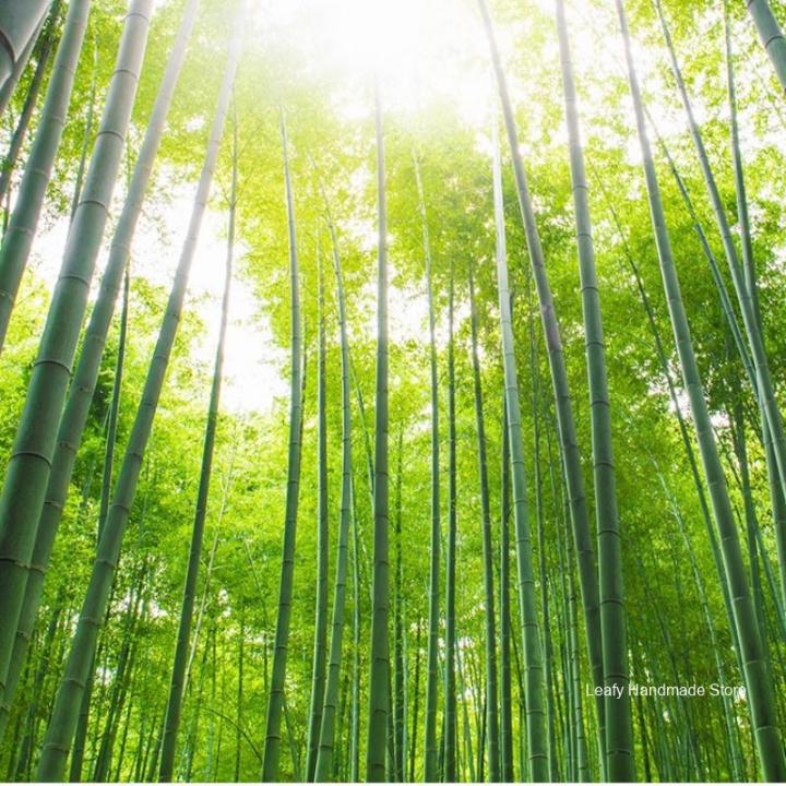 100PCS%2020/30CM%20Disposable%20Bamboo%20Skewers%20Wooden%20Grill%20Grilling%20Bbq%20Tools%20Outdoor%20Cooking%20BBQ%20Sticks%20Barbecue%20Tools%20Fruit%20Sticks%20-%20Image%206