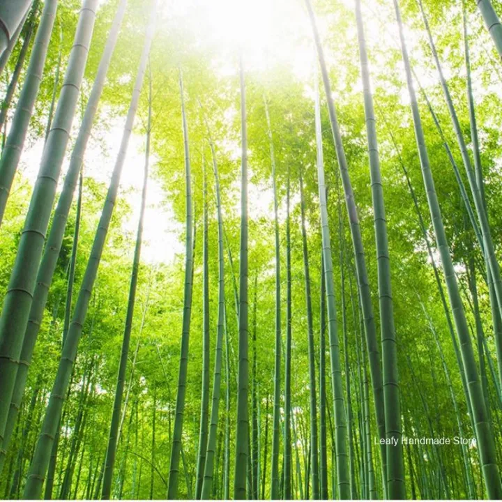 100PCS%2020/30CM%20Disposable%20Bamboo%20Skewers%20Wooden%20Grill%20Grilling%20Bbq%20Tools%20Outdoor%20Cooking%20BBQ%20Sticks%20Barbecue%20Tools%20Fruit%20Sticks%20-%20Image%206