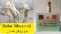 bilisan oil Rogan BALSAN BADAR Roghan e Bilisan ORIGINAL 100% PURE NATURAL Rogan bilisan oil FROM BADAR MOUNTAIN MEDINA3 ML. 
